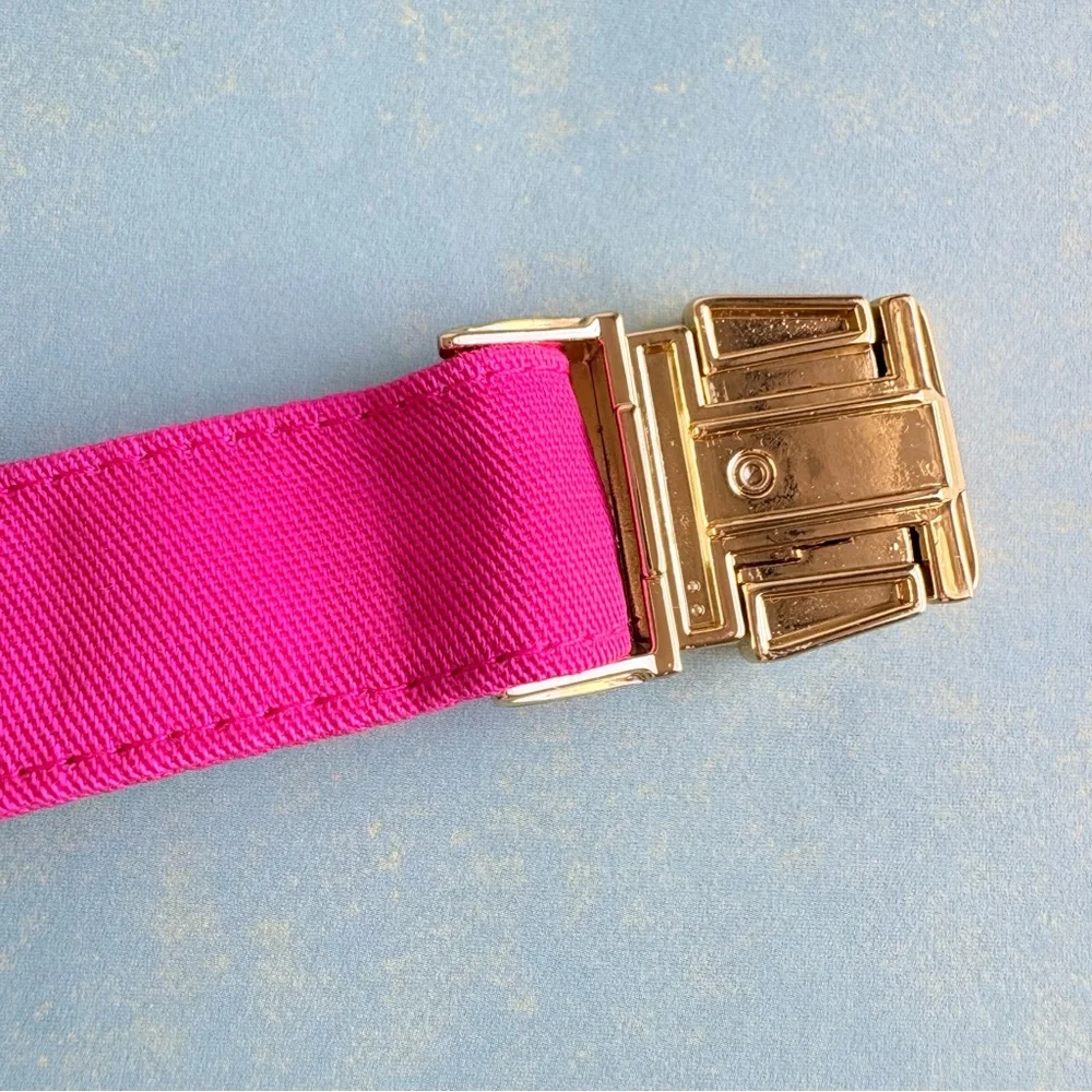 NEW The Foggy Dog Hot Pink Dog Collar Large Gold Hardware Spring Pet Gift NWT - Picture 9 of 12